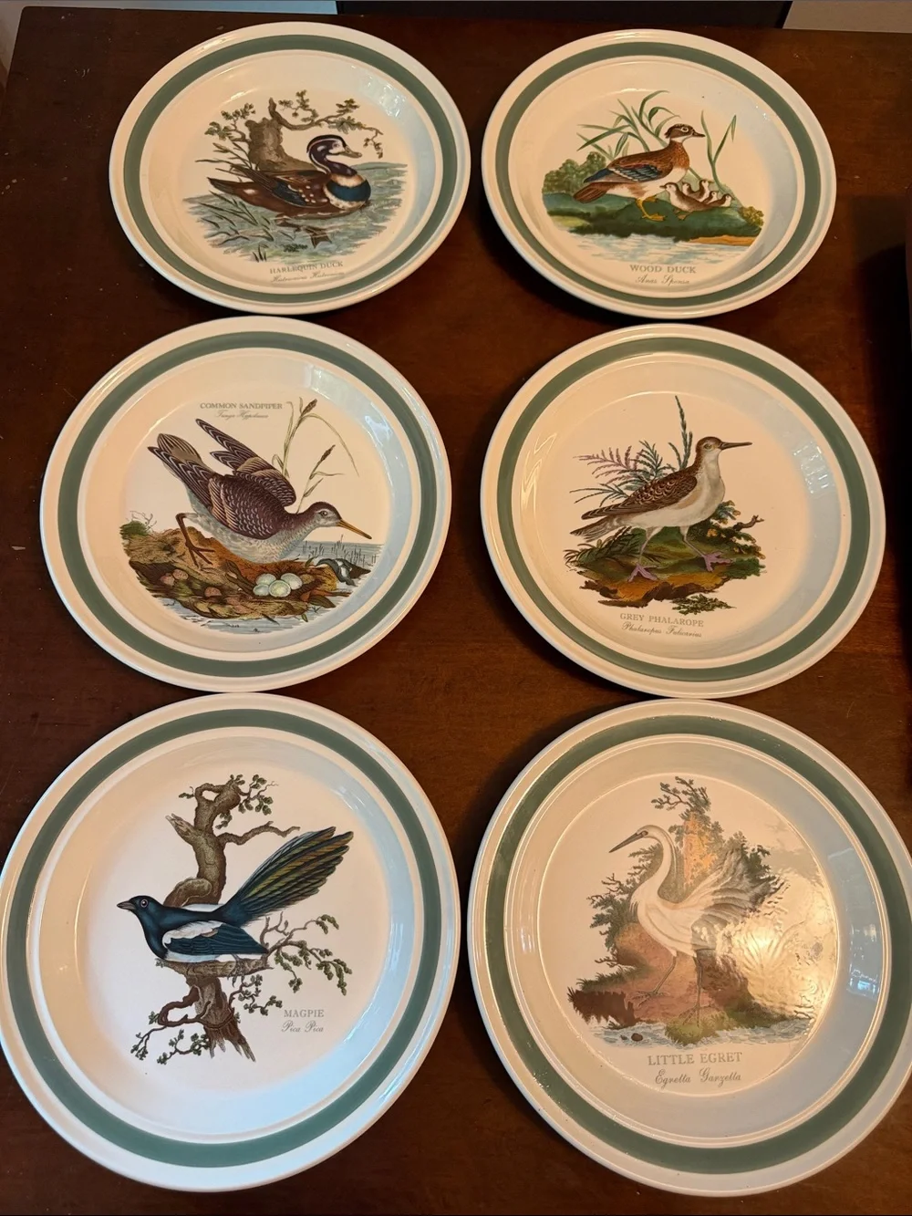 Portmeirion Birds of Britain Dinner Plate - Set of 6